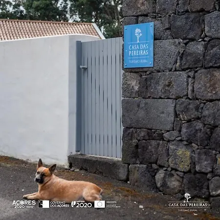 Apartmán Casa Pereiras *