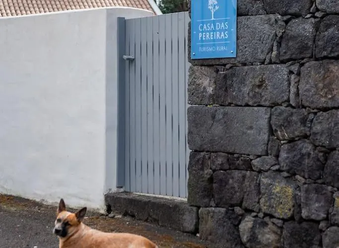 Lägenhet Casa Pereiras *